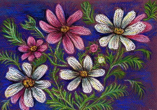 Космея.(для подушки) - цветы, космея - оригинал