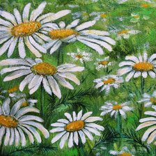 Схема вышивки «Ромашки.»