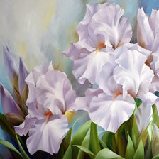 Схема вышивки «№1441742»