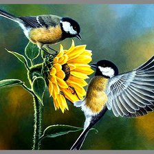 Схема вышивки «Синички и подсолнух»