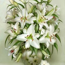 Схема вышивки «лилии»