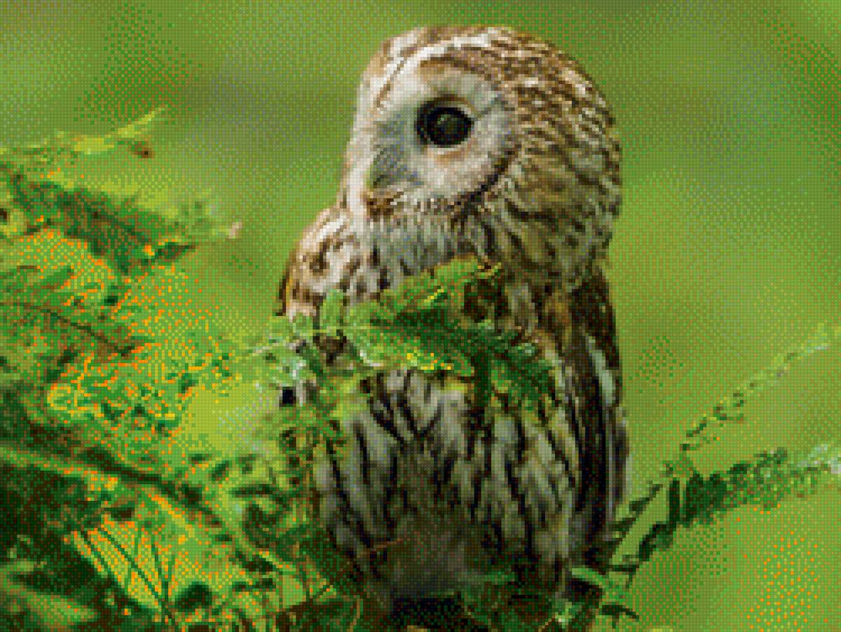 №1442895 - предпросмотр