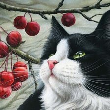 Схема вышивки «Котик»