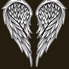 Схема вышивки «крылья 7»