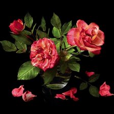 Натюрморт из роз на черном фоне