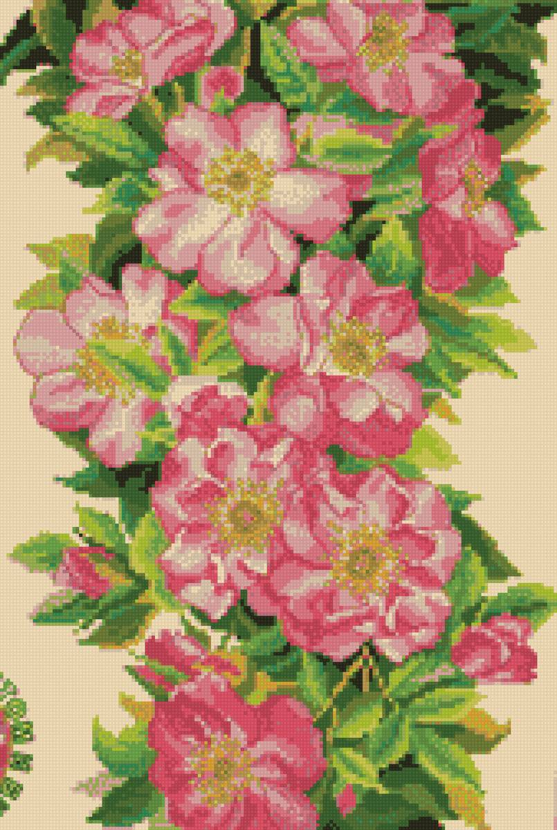 Ветка шиповника - шиповник, цветущая ветка - предпросмотр