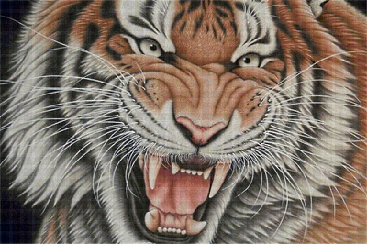 тигр - хищники, тигр - предпросмотр