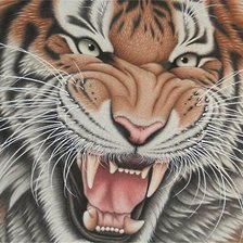 Схема вышивки «тигр»