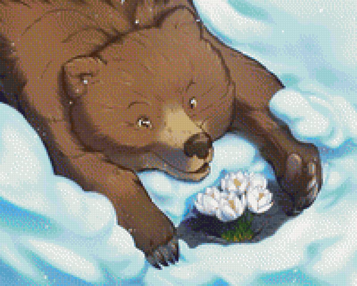 Медведь - предпросмотр