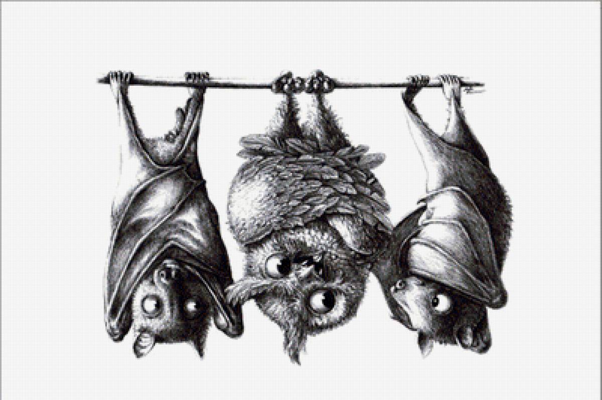 третий лишний - предпросмотр