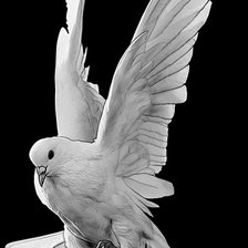 Схема вышивки «голубь»