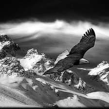 Схема вышивки «орел»