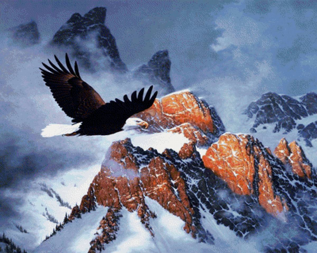 орел - птицы - предпросмотр