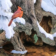 Схема вышивки «птичка»