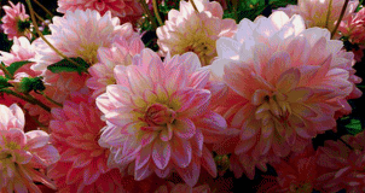 №1444213 - предпросмотр