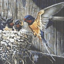 Схема вышивки «Ласточки»