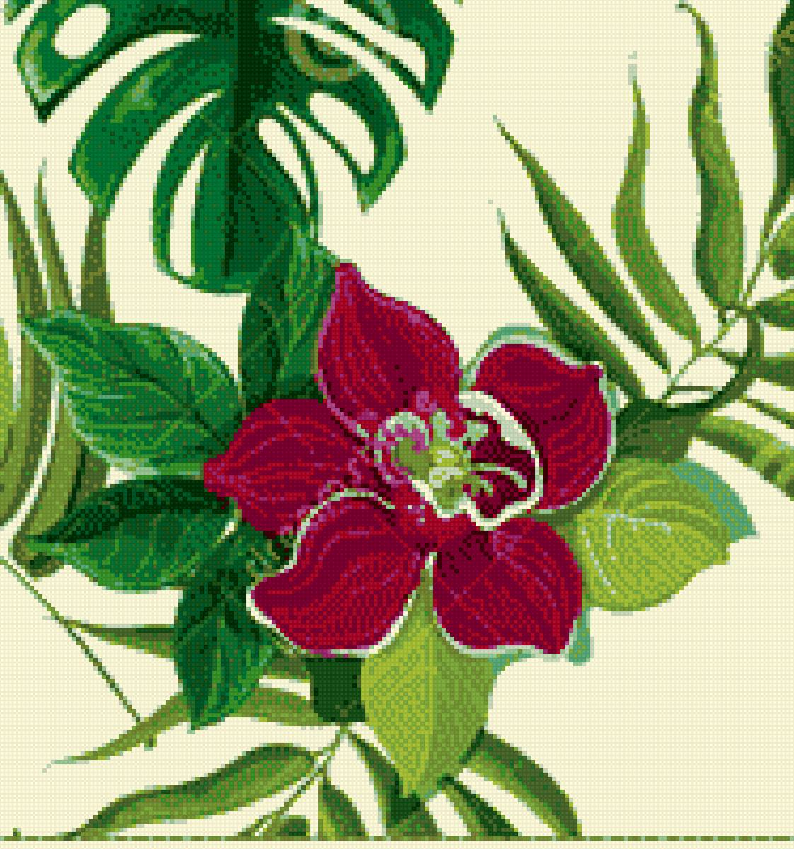 Экзотика - предпросмотр