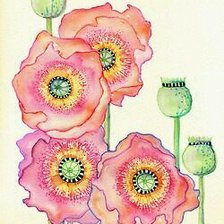 Схема вышивки «розовые маки»