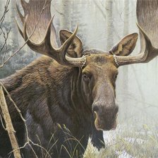 Схема вышивки «ЛОСЬ»