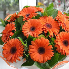 Схема вышивки «№1446609»