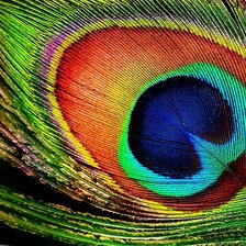 Схема вышивки «павлинье перо»