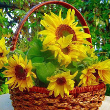 Схема вышивки «№1446634»