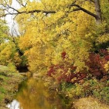 Схема вышивки «№1446872»