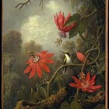 Схема вышивки «Orhid»