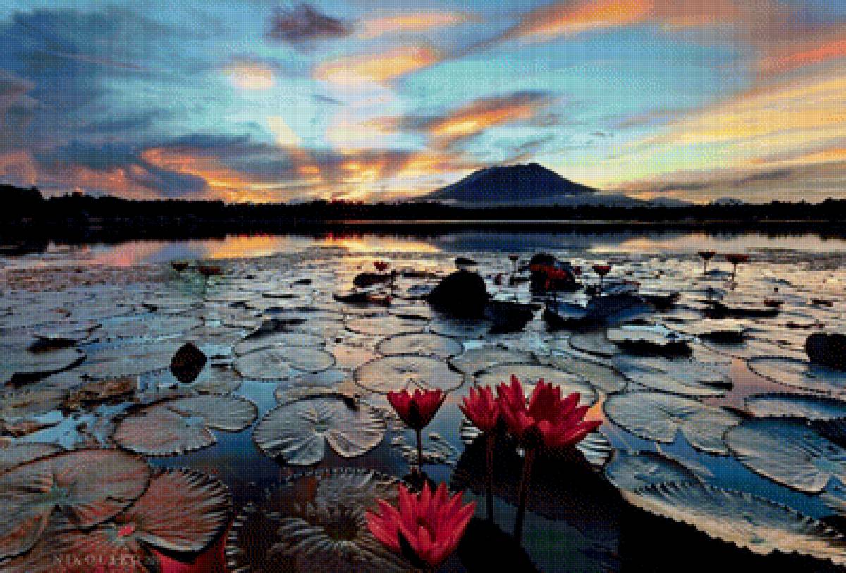 Закат - небо, лотос, море, закат, облака - предпросмотр