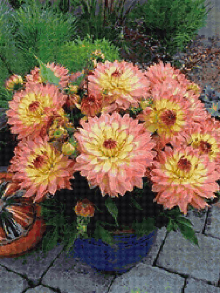 №1447437 - предпросмотр