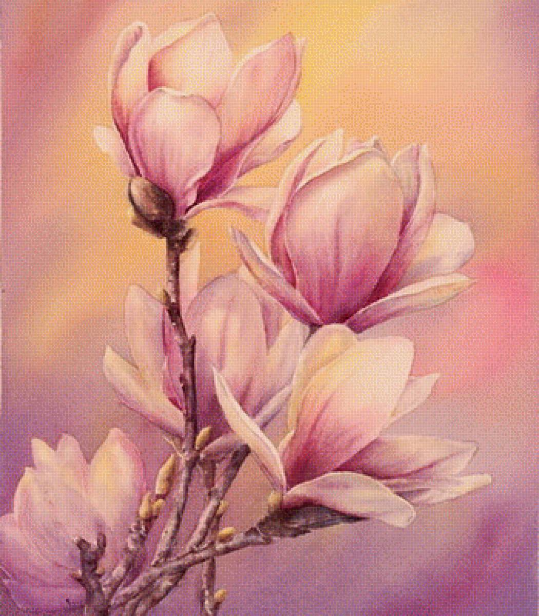 Розовые цветы 3 - цветы, сакура - предпросмотр