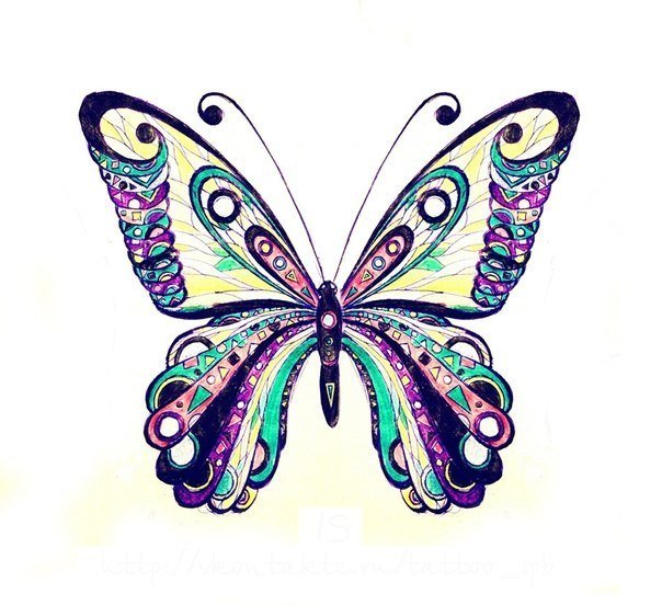 Бабочка - бабочка - оригинал