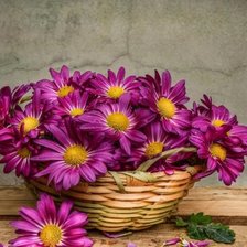 Схема вышивки «Натюрморт хризантемы»