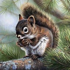 Схема вышивки «№1447781»