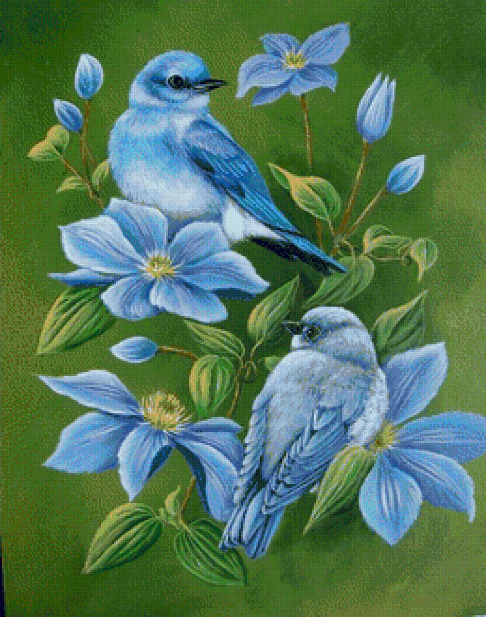 Пташки - предпросмотр