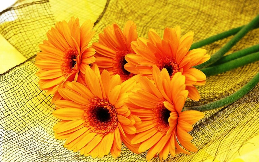 №1448274 - оригинал