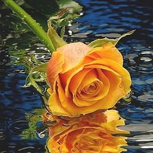 Схема вышивки «№1448406»