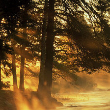 Схема вышивки «утро»