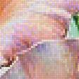 Предпросмотр схемы вышивки «Розы» (№1449178)