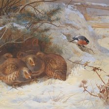 Схема вышивки «Ptici»