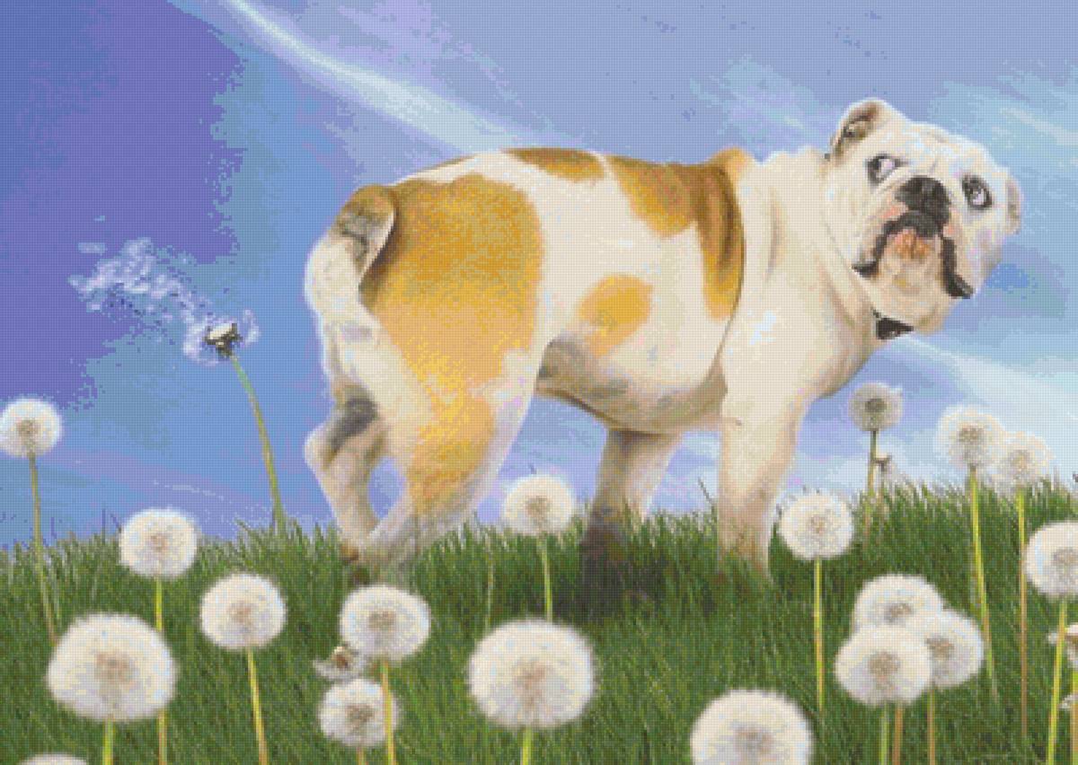 Ветрено, возможны осадки - смешные животные, юмор, бульдог с одуванчиком - предпросмотр