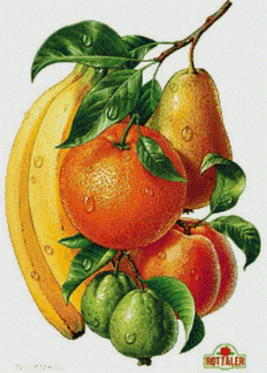 Натюрморт - вышивка крестом - предпросмотр