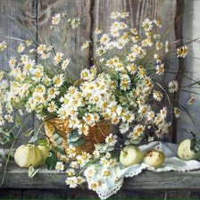 Схема вышивки «Ромашки»