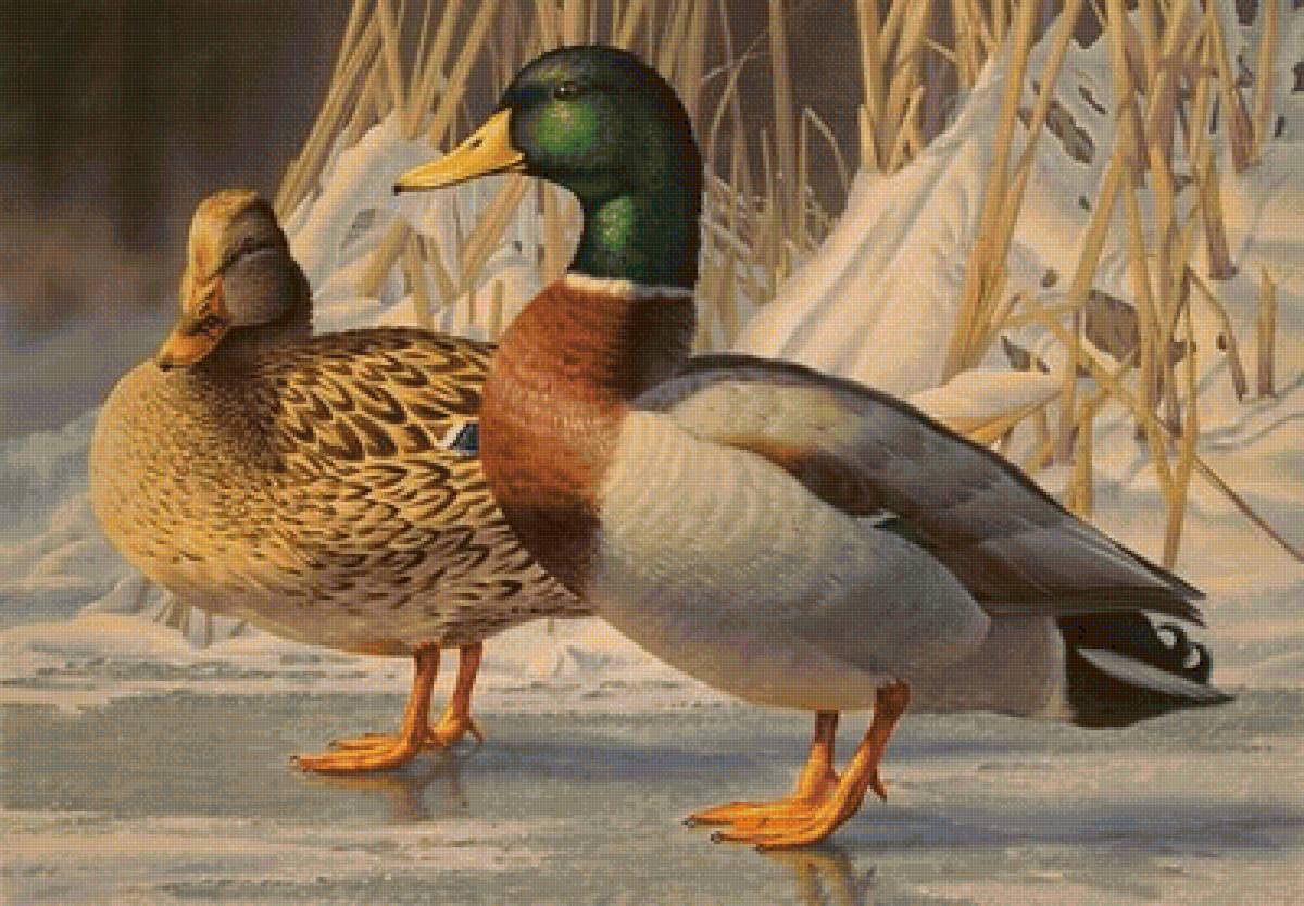 №1449928 - предпросмотр