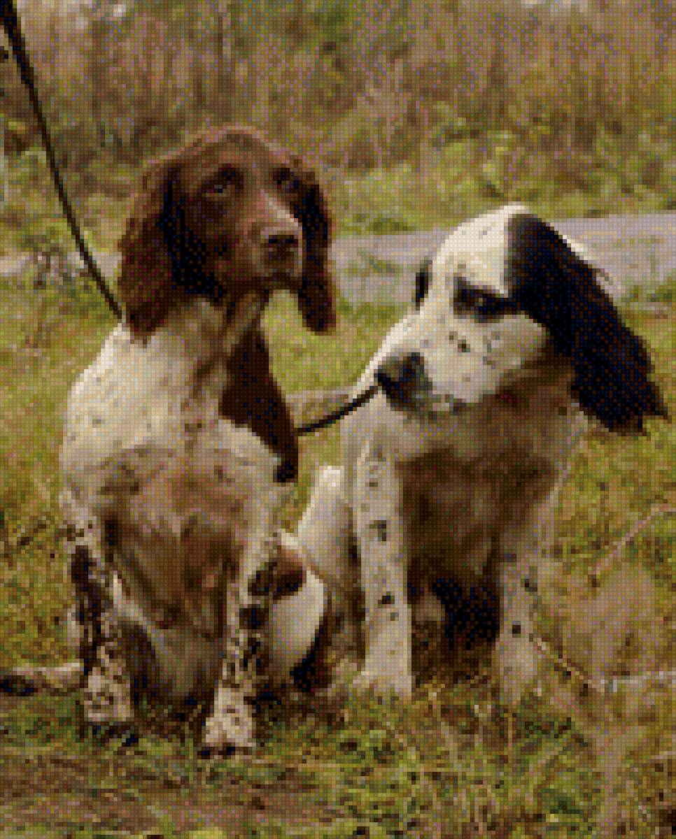 На охоте - собака, животные, спаниель, охота, пара - предпросмотр