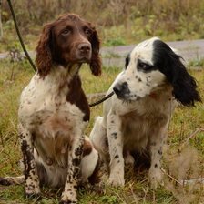 Схема вышивки «На охоте»