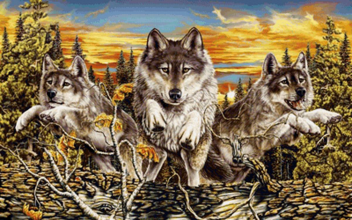 прыжок - животные волки - предпросмотр