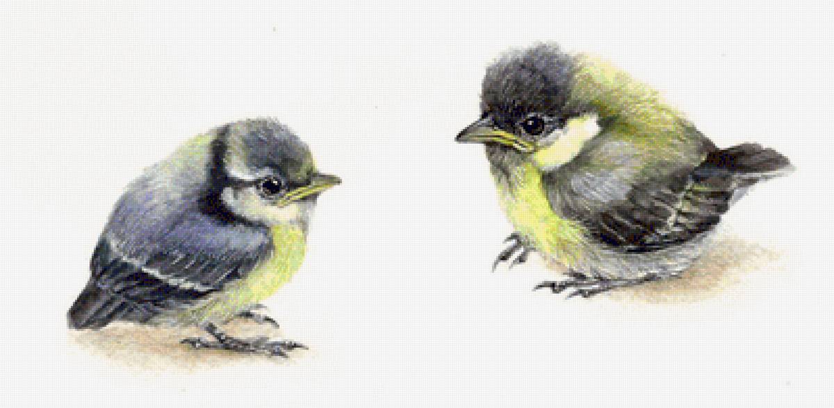 №1450092 - предпросмотр