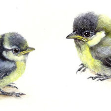 Схема вышивки «№1450092»