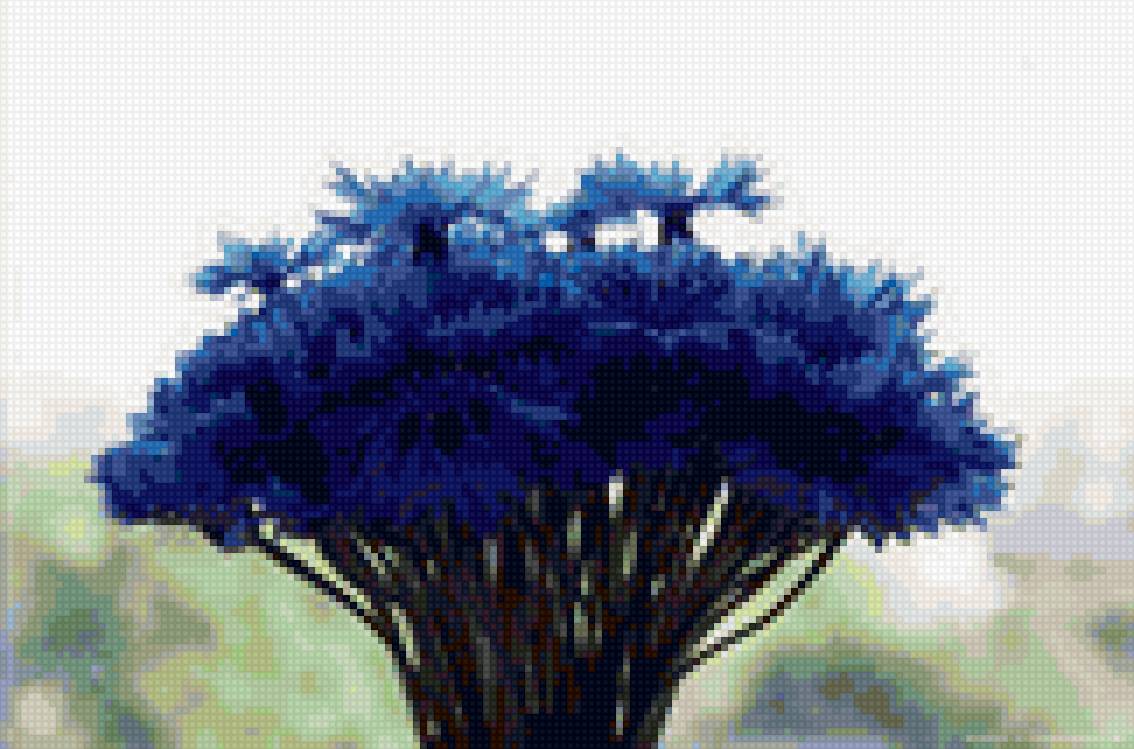 Васильки - букет, цветы, васильки, полевые цветы - предпросмотр